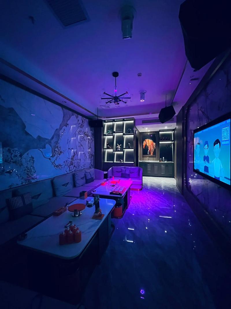 潍坊商务ktv与片场区别解析-昌乐县ktv预订